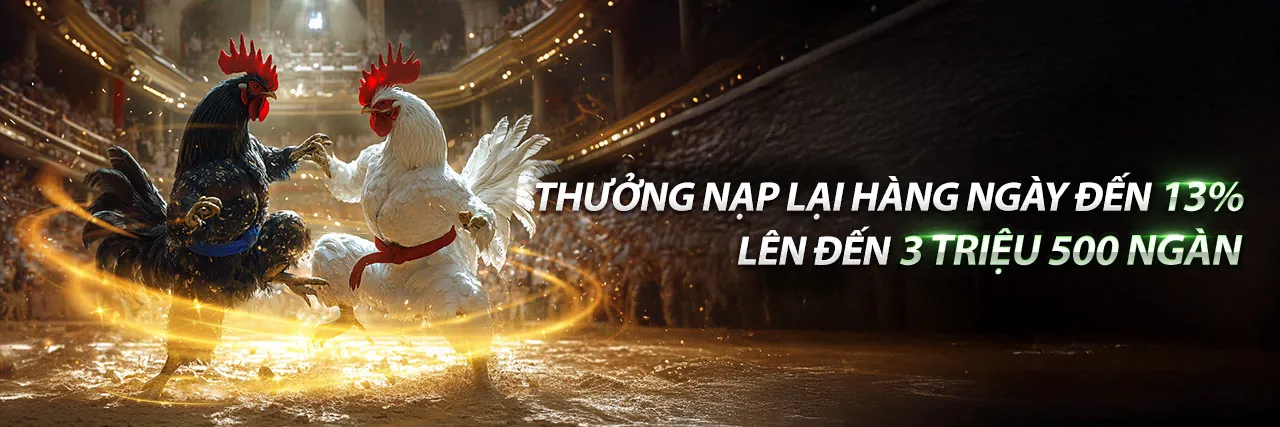 Đấu trường đá gà trực tuyến sôi động tại ABC8
